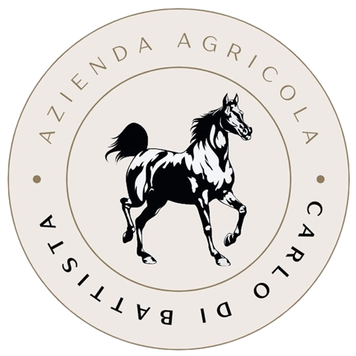 Azienda agricola Di Battista Carlo